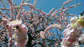 2012031910370001.jpg
