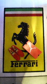 2012033119330001.jpg