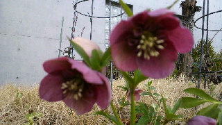 2012033120470000.jpg