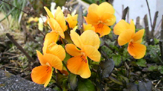 2012033120480000.jpg