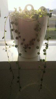2012040106480001.jpg