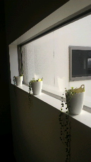 2012040106480002.jpg