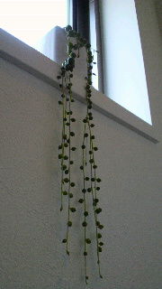 2012040106490000.jpg