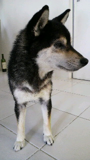 2012040106490001.jpg