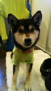 2012040106490002.jpg