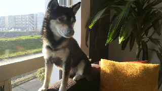 2012040106500000.jpg