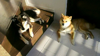 2012040106550000.jpg