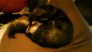 2012040117560000.jpg