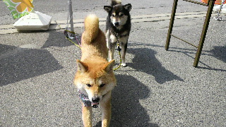 2012040206130000.jpg