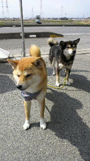 2012040206130001.jpg