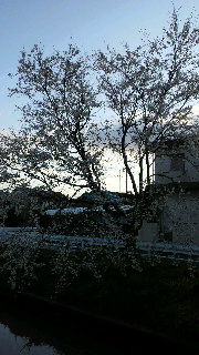 2012040406470000.jpg