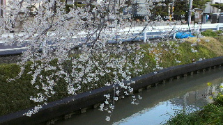 2012040406470001.jpg