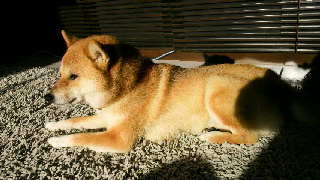 2012040408250000.jpg