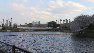 2012040806280000.jpg