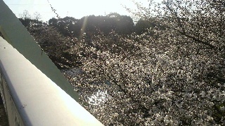 2012040806290000.jpg