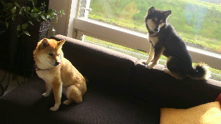 2012040806320001.jpg