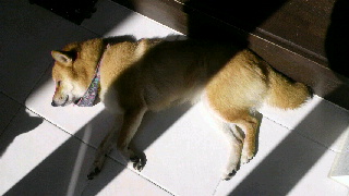 2012040809430001.jpg