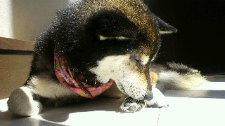 2012040809440000.jpg