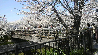 2012040816220000.jpg
