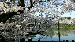 2012040820070002.jpg
