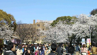 2012040820080000.jpg