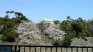 2012040908010000.jpg