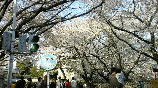 2012040908020000.jpg
