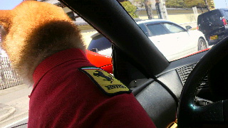 2012040908030000.jpg