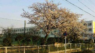 2012040918120000.jpg