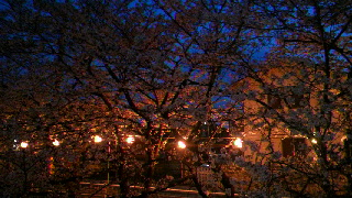 2012040919010000.jpg