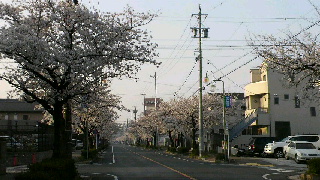 2012041012350001.jpg