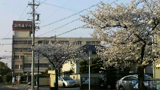 2012041012350002.jpg