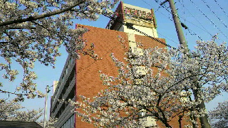 2012041012360000.jpg