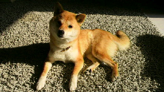 2012041012360001.jpg