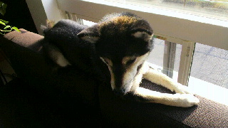2012041012360002.jpg