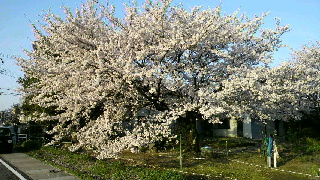 2012041206390000.jpg