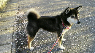 2012041206450001.jpg