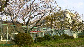 2012041410480001.jpg
