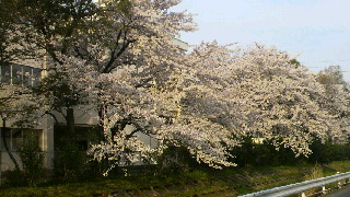2012041410480002.jpg