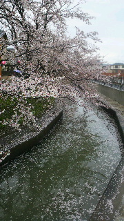 2012041410560000.jpg