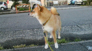 2012041505360000.jpg