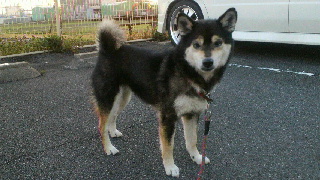 2012041505360001.jpg