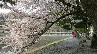 2012041517470001.jpg