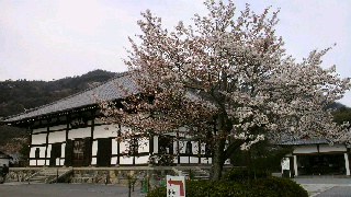 2012041517480000.jpg