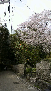 2012041517480001.jpg