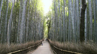 2012041517490000.jpg