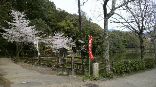 2012041520150000.jpg