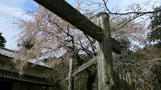 2012041520190000.jpg