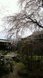 2012041521100000.jpg