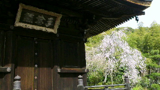 2012041521110000.jpg
